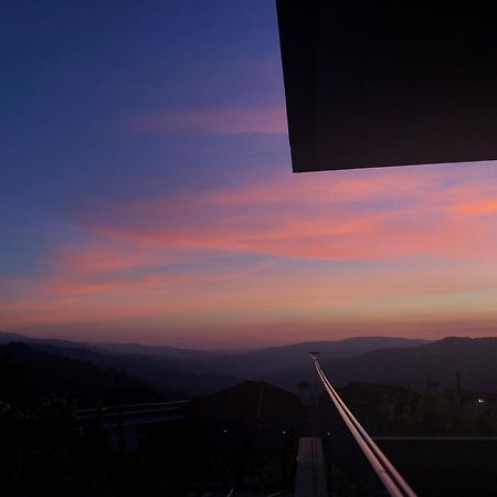 Отель Vald'Aregos - Douro Резенде Экстерьер фото