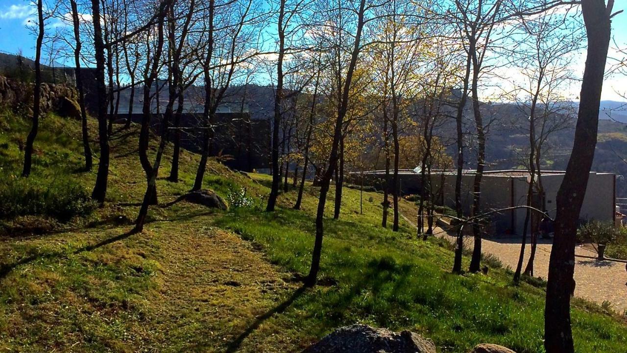 Отель Vald'Aregos - Douro Резенде Экстерьер фото
